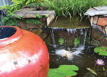 「龟龟环境篇」沼泽过滤(bogfilter):一种原生态水处理技术