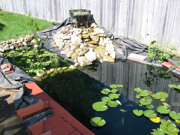 龟缸沼泽过滤系统视频,龟池沼泽过滤