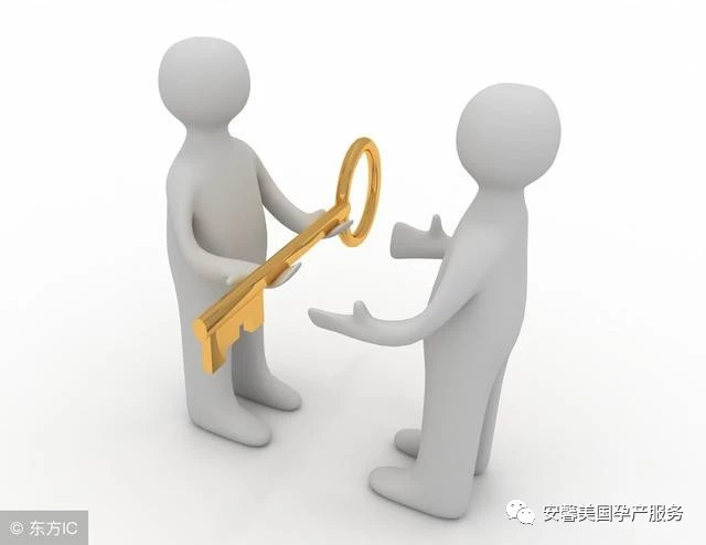 赴美生子旅游签证,赴美生子诚实签怎么玩