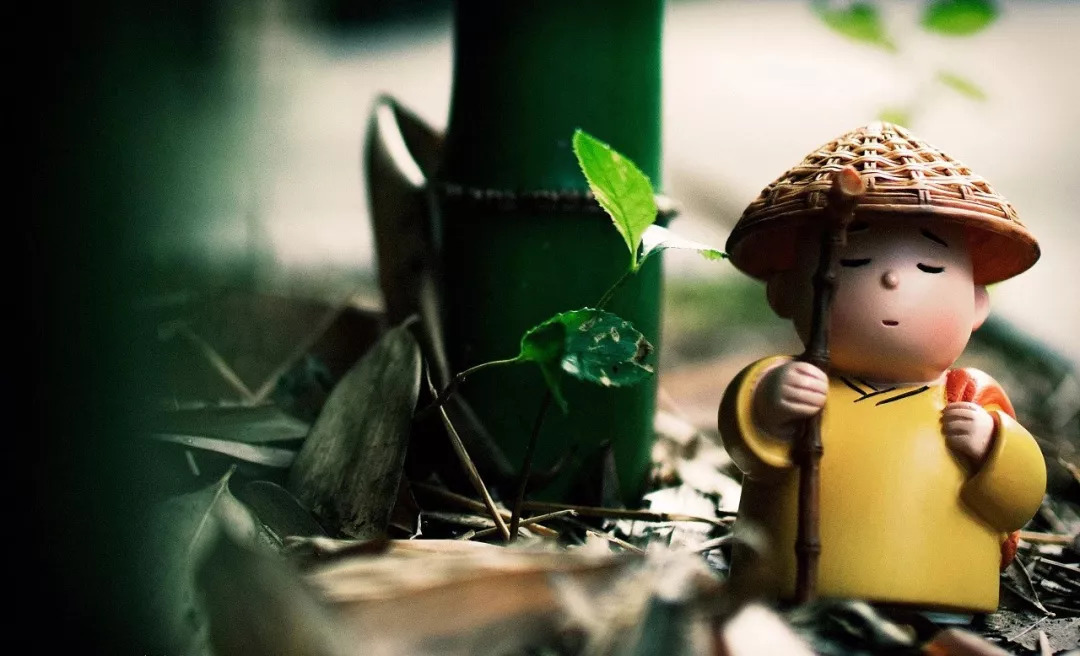 单亲母亲带5岁儿子,单亲母亲带男孩子