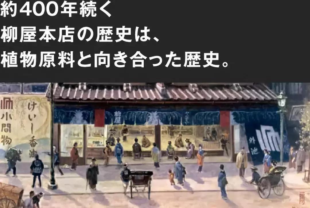 发际线高脱发用什么洗发水,发际线高掉头发洗发水测评