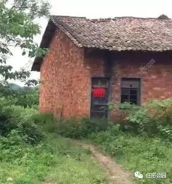 最新农村自建房效果图带地下室,农村一层自建房带地下室效果图