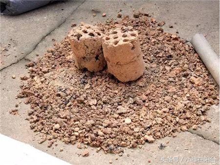 养花技巧盆土保持湿润法,养花盆土干了怎么办