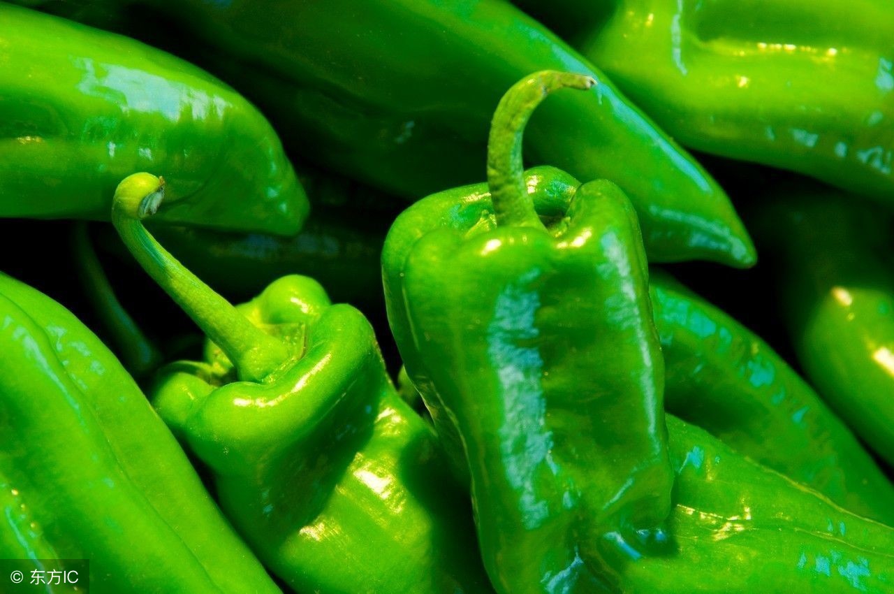 今日全国辣椒价格行情走势图,2022年8月份辣椒的价格行情