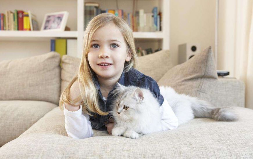 养猫人吸入猫毛的危害,猫毛会被人吃进肚子会怎么样