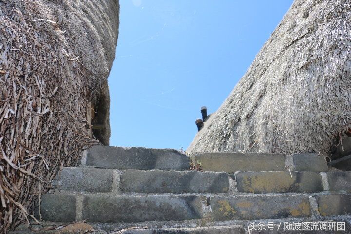 新西兰霍比特人的童话小屋,澳洲霍比特人小木屋