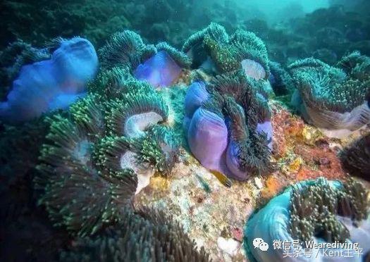 又一个美丽的东南亚小国，说走就走！