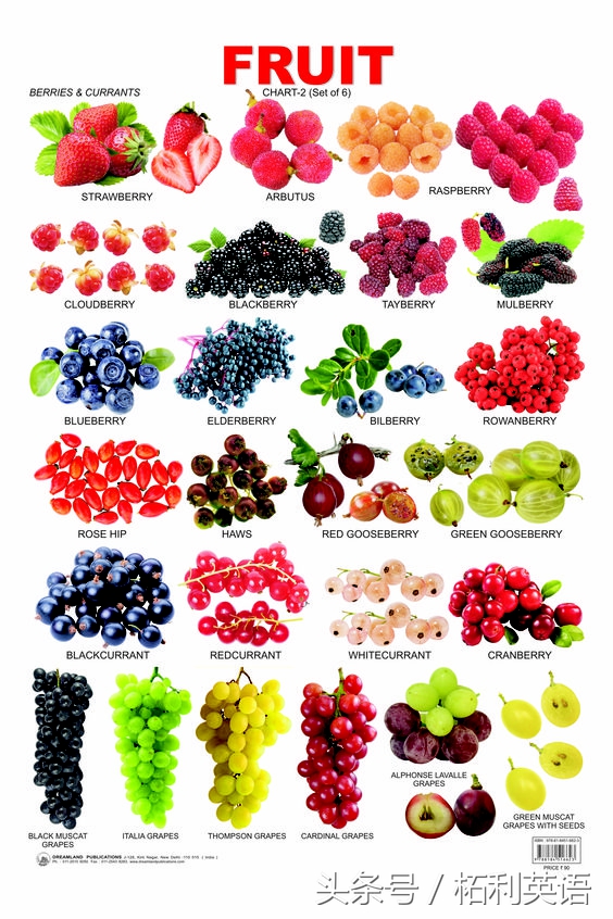 重磅贴：英语词根词缀记忆法（全集），值得人人收藏研读！