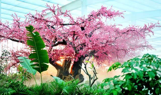 鞍山绿中海温泉团购,鞍山绿中海温泉门票价格