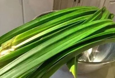 女子持续发烧,女子连续发烧三天39度