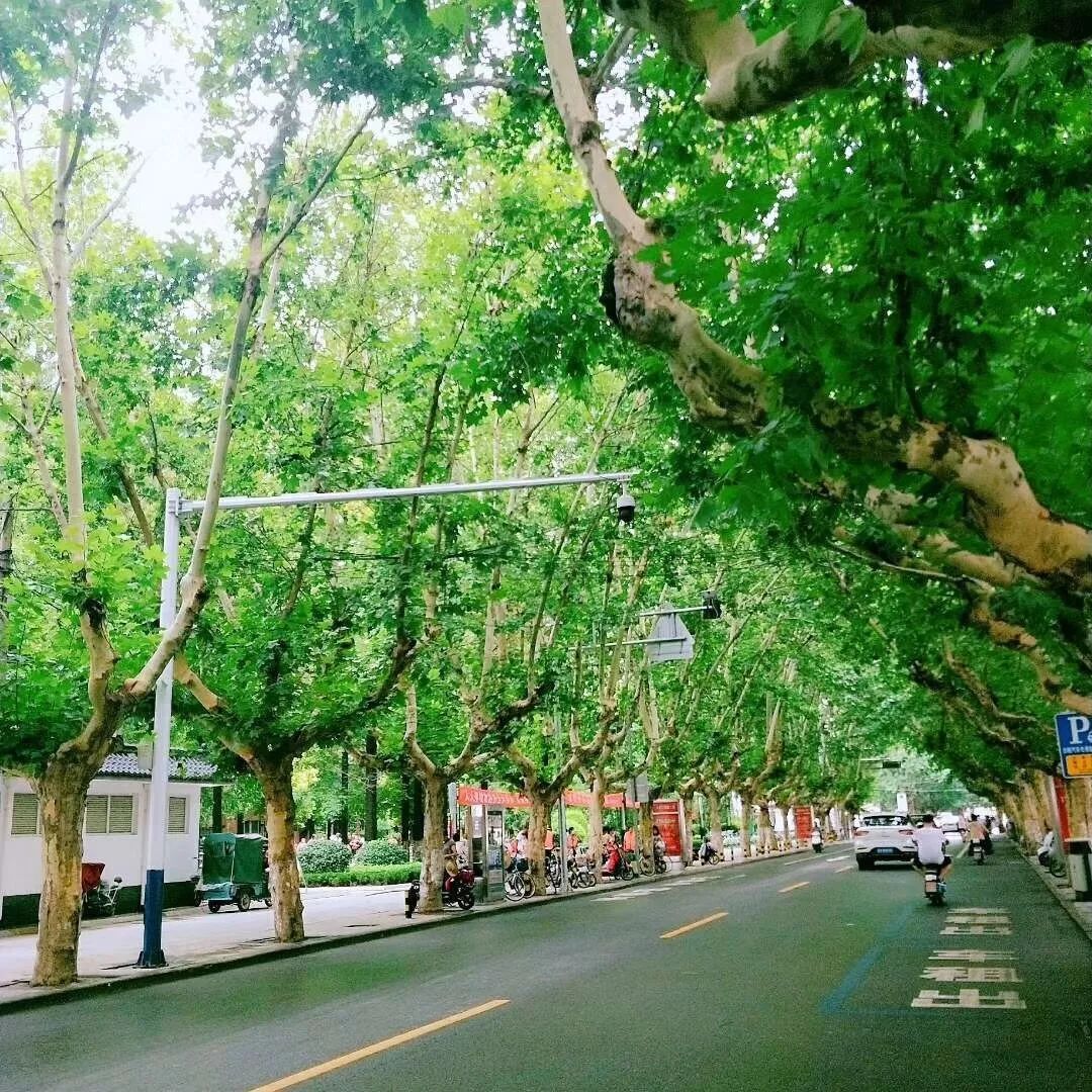 邳州，一个城市的A面和B面！