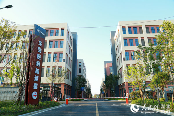 东湖高新集团三年规划,东湖高新集团的发展历程