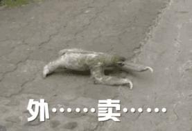 盘点网络中的搞笑段子笑死人系列,盘点那些爆笑网络的段子