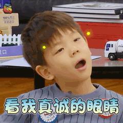 白象蟹黄拌面杯面方便面,十种方便面测评