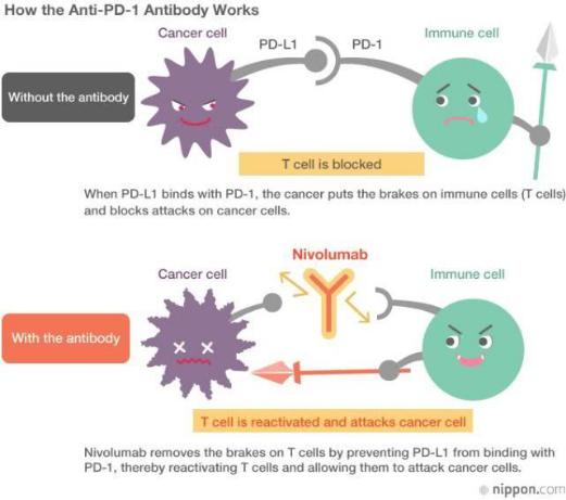 最新上市的癌症药,2023年上市治疗癌症新型药