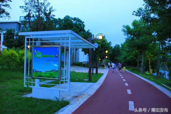 抓培养抓活动抓投入看莆田体育何以取得高质量发展……