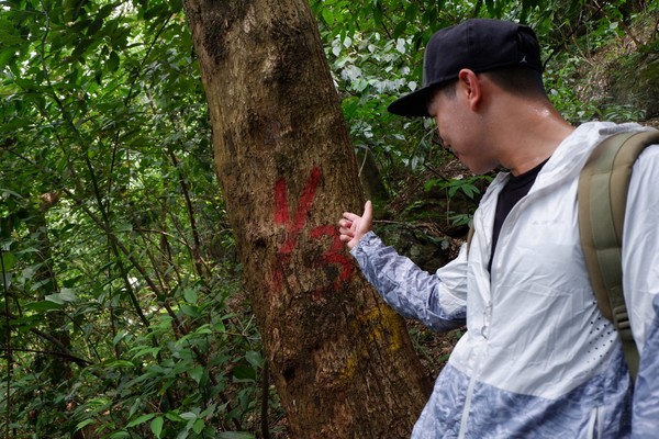 桂林阳朔无敌风景,阳朔龙头山水美如人间仙境