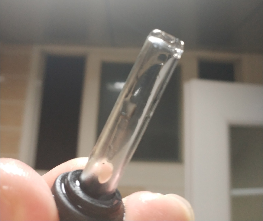 仓鼠如何饲养应该怎么帮仓鼠洗澡,仓鼠饲养十大禁忌是什么呢