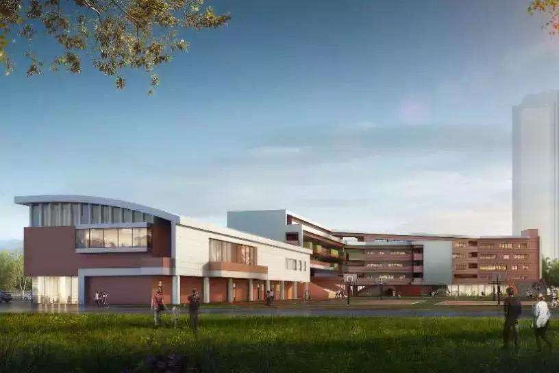 南沙比较好的公办小学,南沙新开的小学