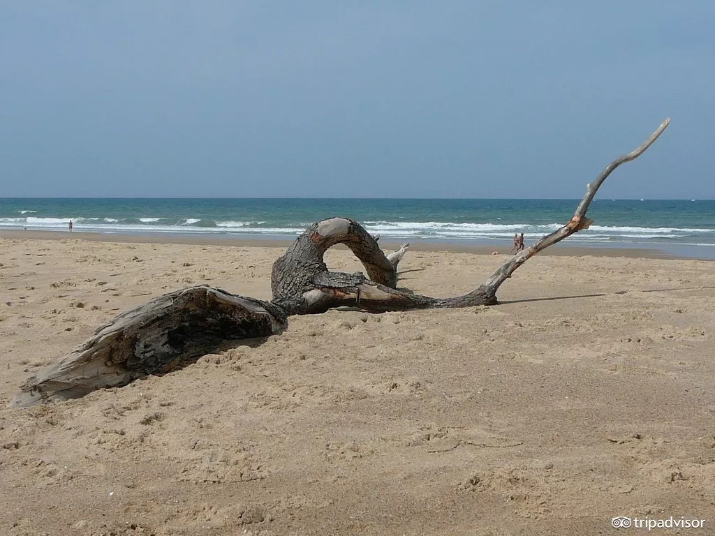 必去的十大海滩,全球最美的六大海滩