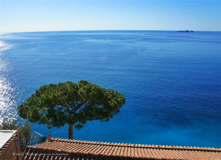 神奇女侠天堂岛卡洛斯,神奇女侠天堂岛有什么