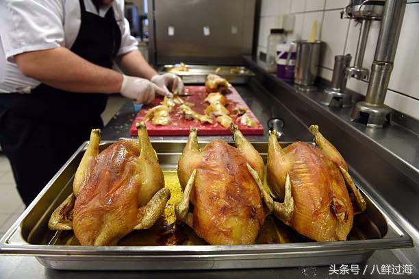 布雷斯鸡有多厉害,布雷斯鸡是什么鸡