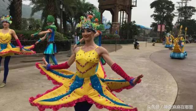 珠海长隆旅游攻略3天自由行,亲子游珠海长隆一日游攻略