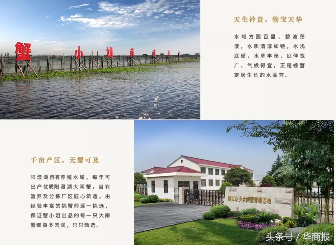 正宗阳澄湖大闸蟹西安,西安阳澄湖大闸蟹有哪些