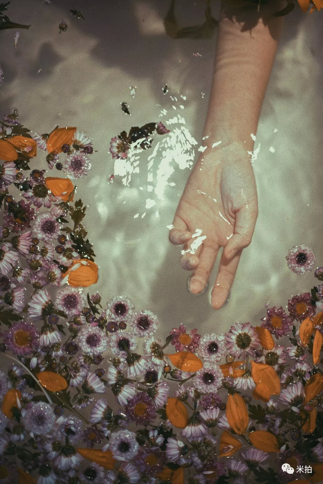 这个夏天，100位年轻的摄影师在这里C位出道！