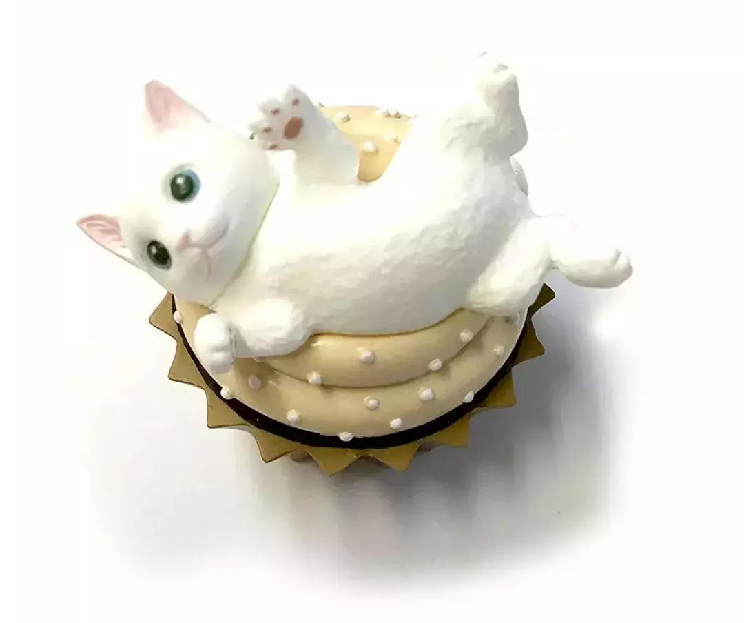 猫咪卧在盘子,猫咪卧在桌子上