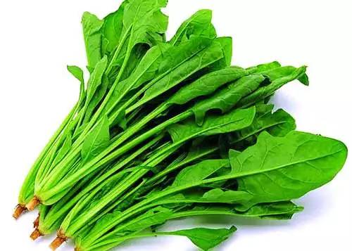 蔬菜没煮熟有什么危害,这9种蔬菜没煮熟千万别吃