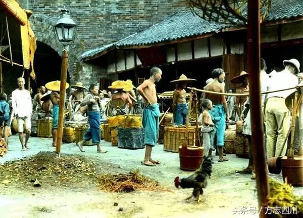 方志四川纪录片全集,四川地方志旧志整理