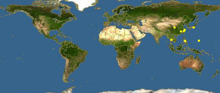 海边贝类种类,各种贝类的名称