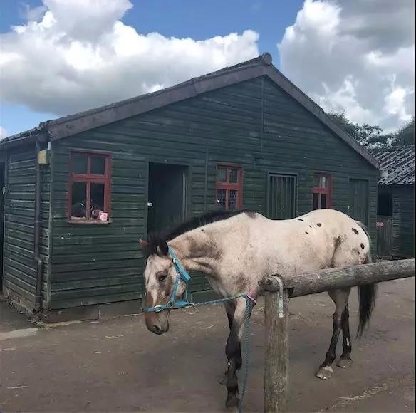 我到乌托邦鼻祖欧文的地盘上转了下，和英国人聊了聊