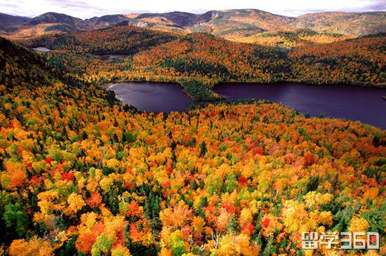 加拿大音乐专业排名,加拿大音乐艺术类大学排名