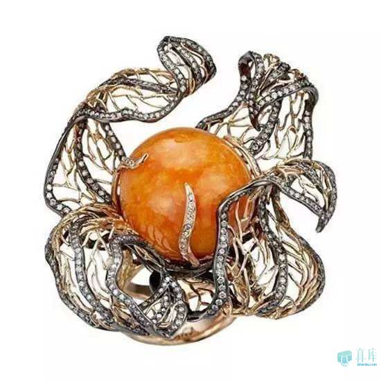 海螺珠美乐珠的区别,海螺珠和美乐珠哪个更珍贵