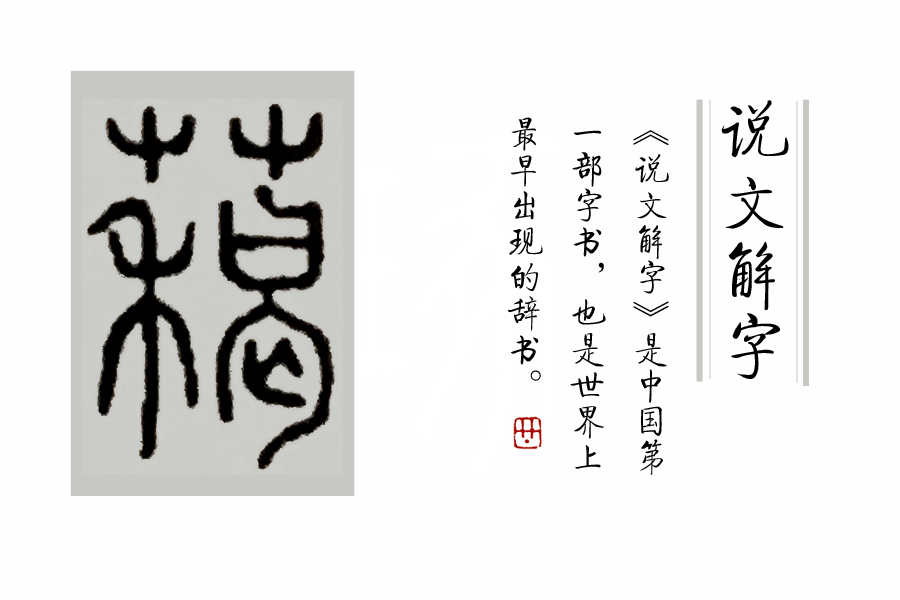 说文解字第222课,说文解字第297课