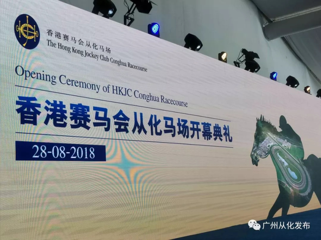 wow马术,香港赛马会从化马场