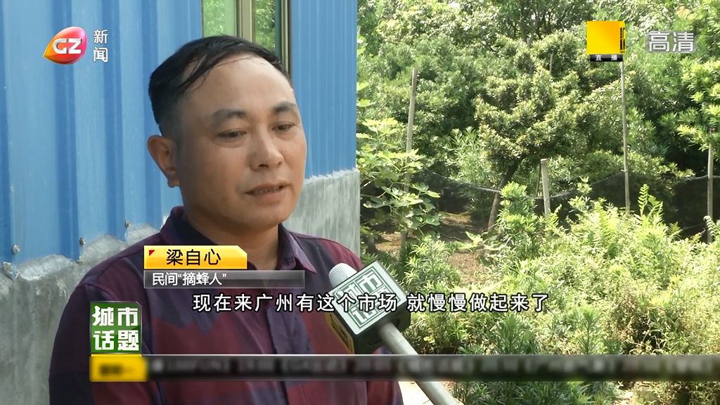 马蜂巢怎么处理,马蜂热门话题