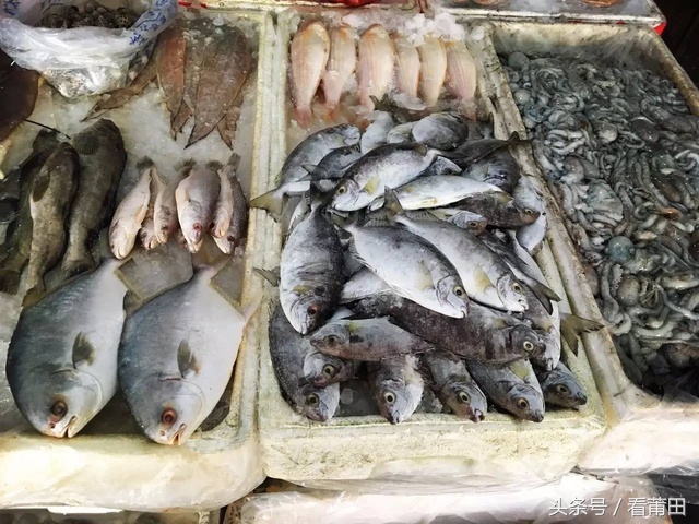 莆田海鲜市场推荐,莆田平海海鲜市场