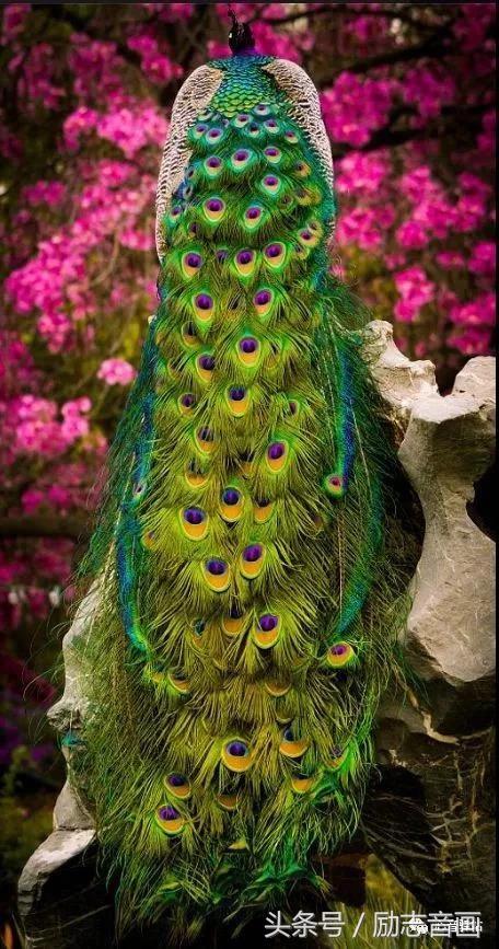 综合知识78集，赶紧保存，早晚用得上！