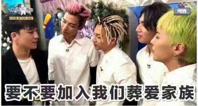 葬爱家族有多酷,葬爱家族现在啥样了