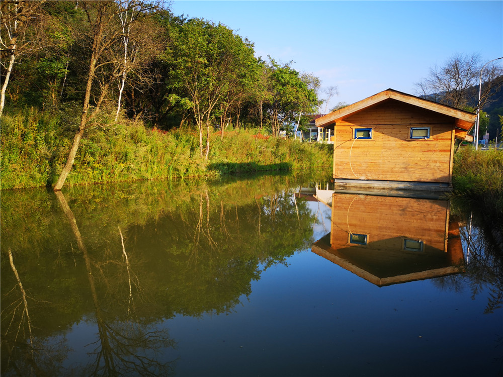 乐嘉如何了解孩子的性格,乐嘉性格色彩判断孩子性格