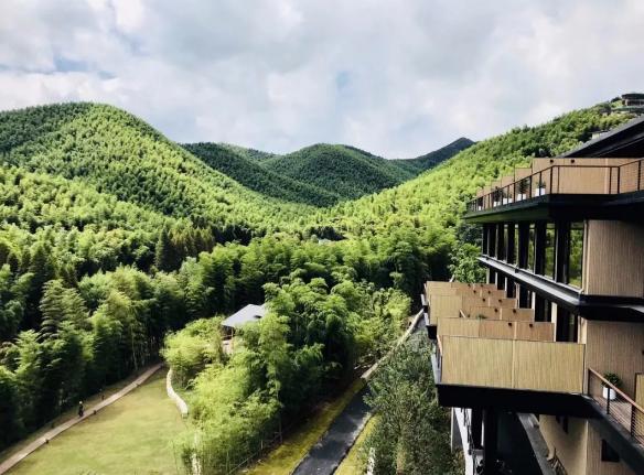 来“浙”里找到专属于自己的幸福感走进“了不起的乡村路书”最后一站