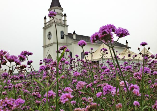 钃濊皟搴勫洯鍦板潃鍖椾含,钃濊皟搴勫洯