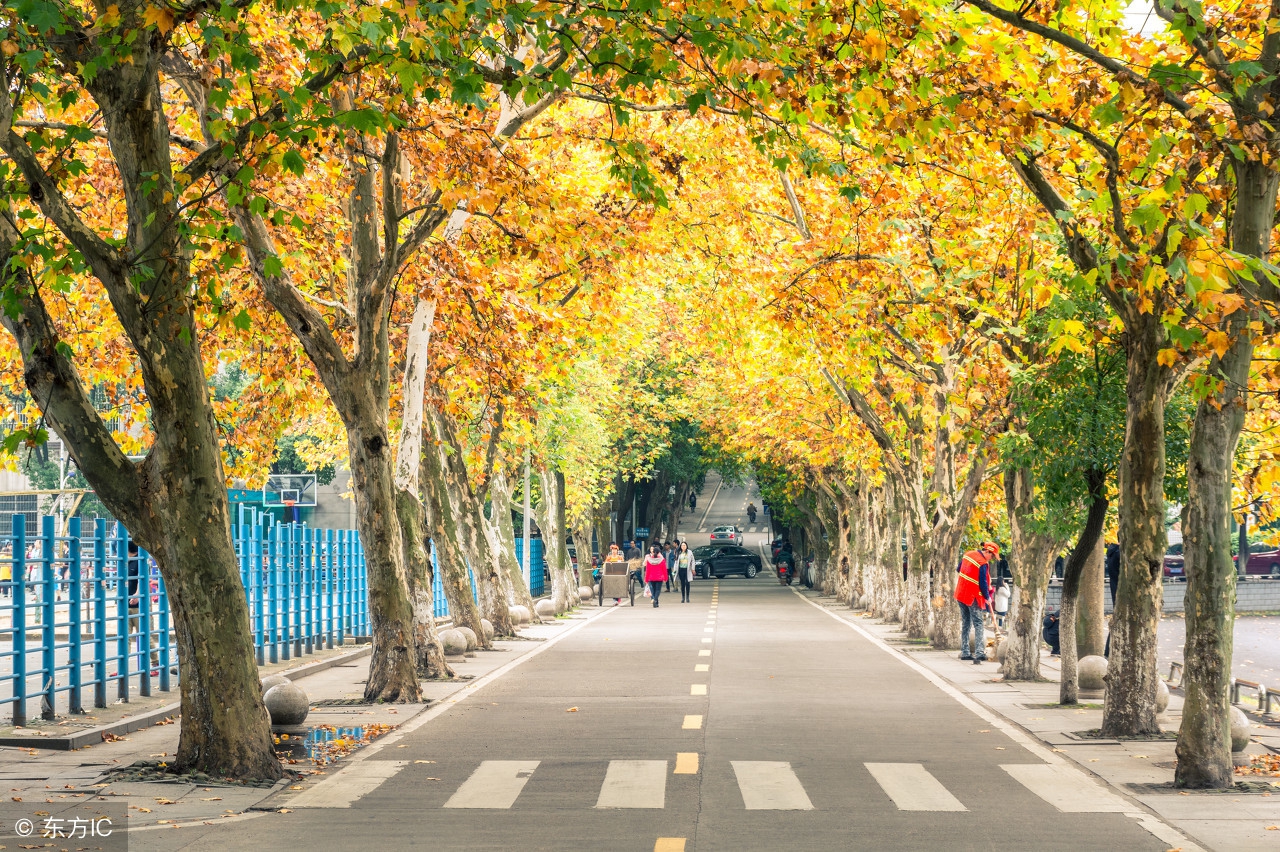 也许那扇门重来没有被封死，只是需要你更加努力的去打开！