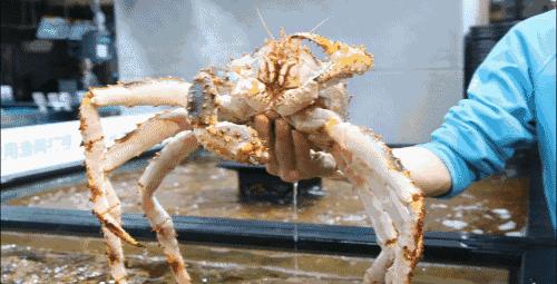 大连锦辉购物广场盒马鲜生,盒马鲜生锦辉店附近团购