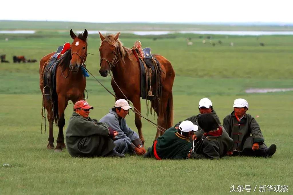 夏天大草原旅行 (夏天旅行大草原)