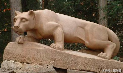 美国备胎之：忽上忽下，被自己玩死的名校——PSU，没有之二