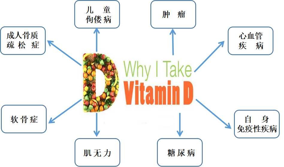 反映维生素d营养状况最佳指标,怎样看维生素d的配方